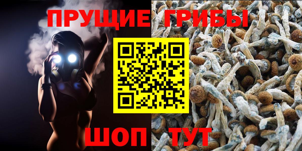 Псилоцибиновые грибы мицелий Петропавловск-Камчатский